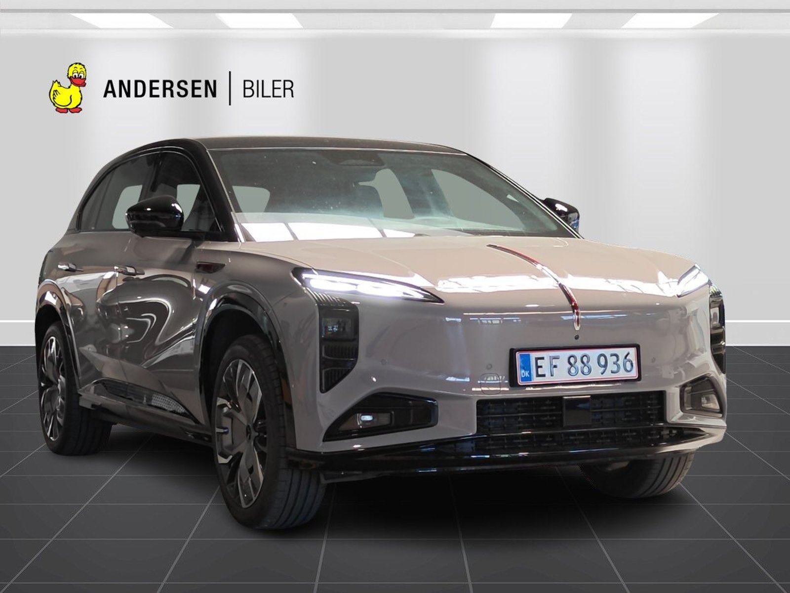 Hongqi EHS7 Long Range 111 kWh, 343ps, 2025