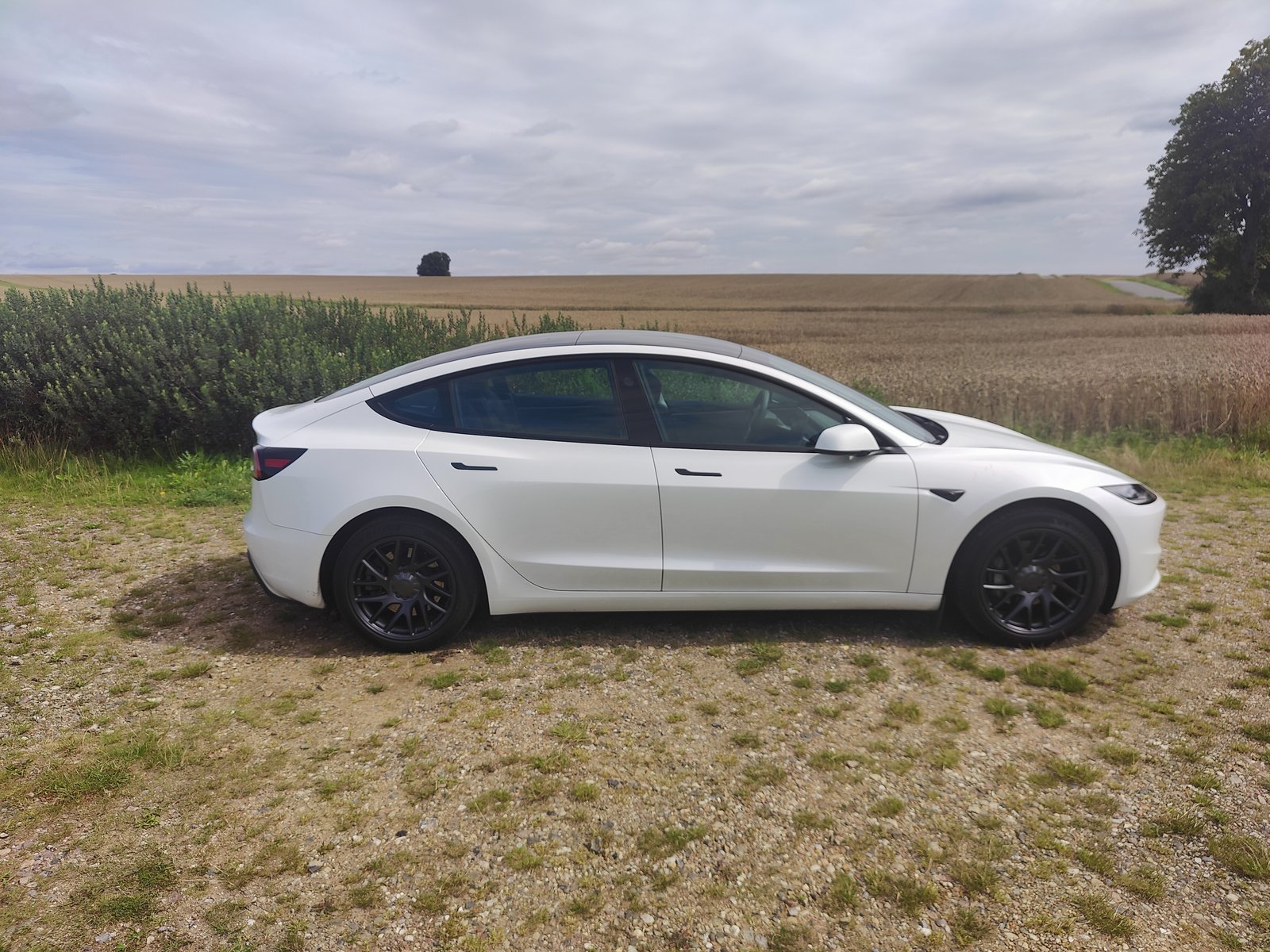 Tesla Model 3 Standard Range, 283ps, 2024