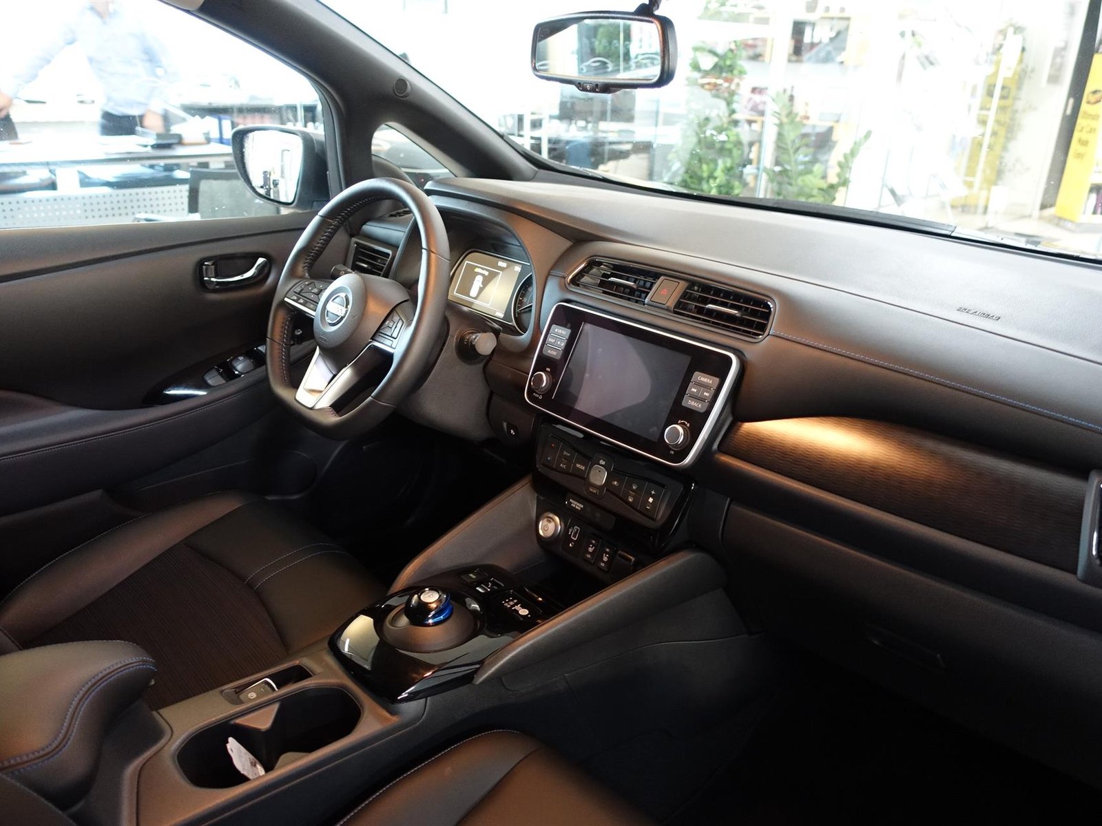 Nissan Leaf, 150ps, 2019
