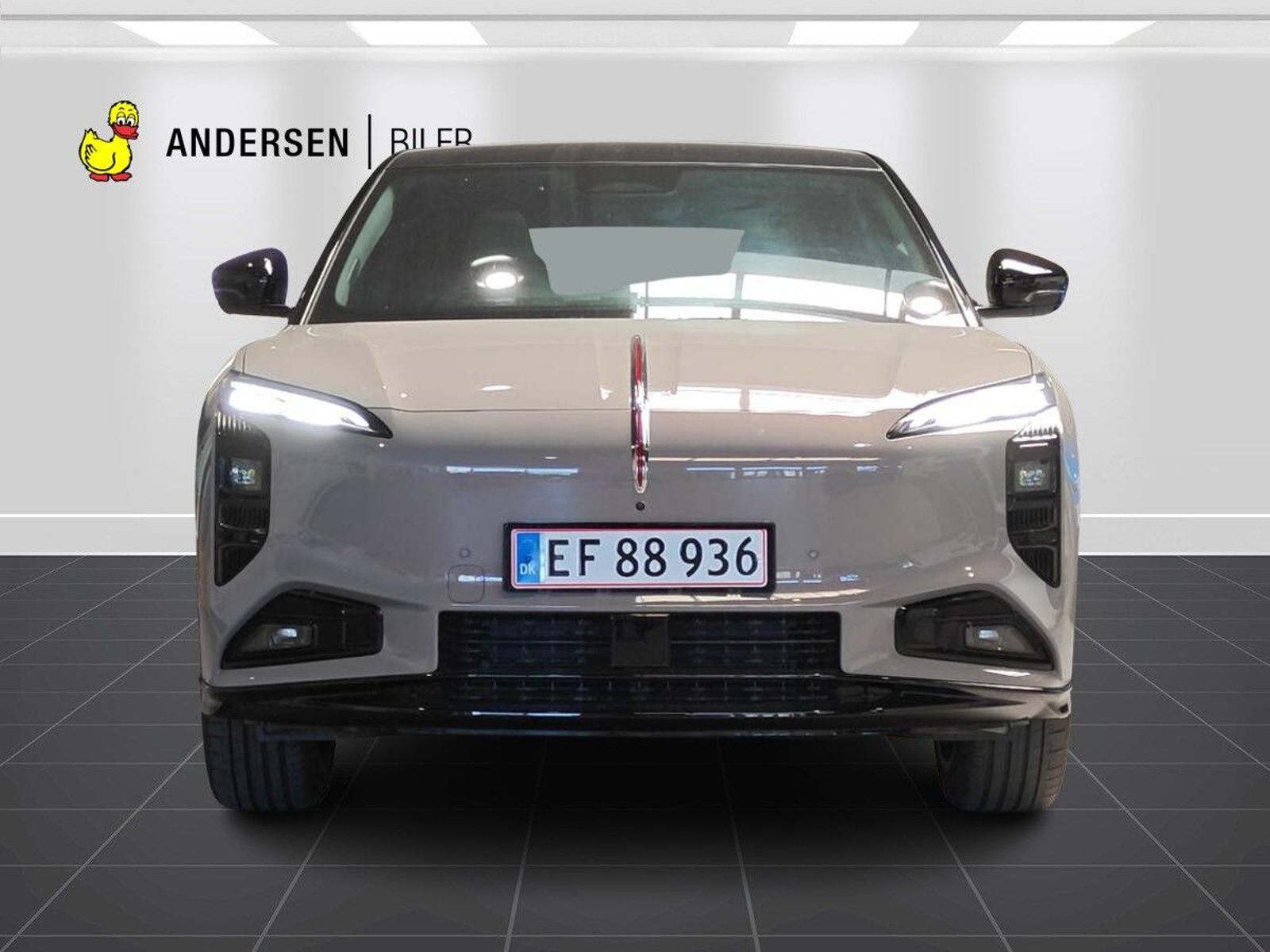Hongqi EHS7 Long Range 111 kWh, 343ps, 2025