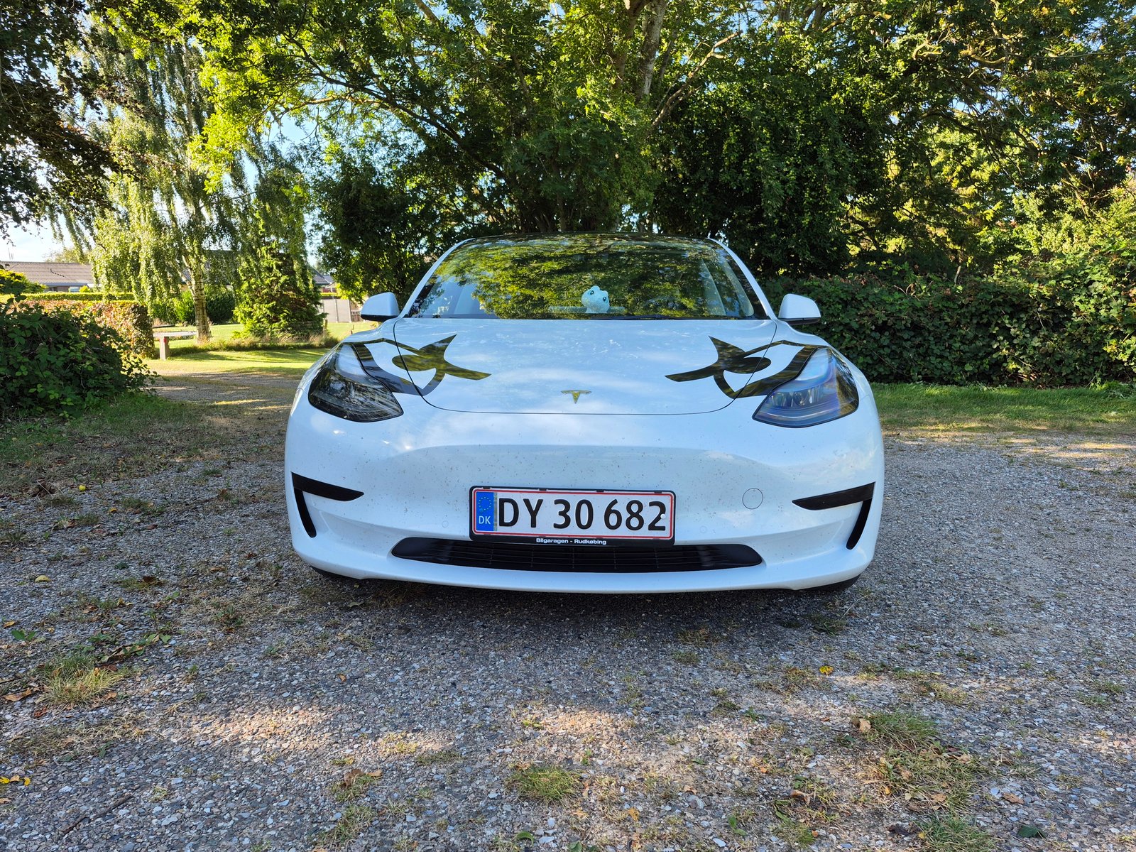 Tesla Model 3 Standard Range, 283hp, 2022