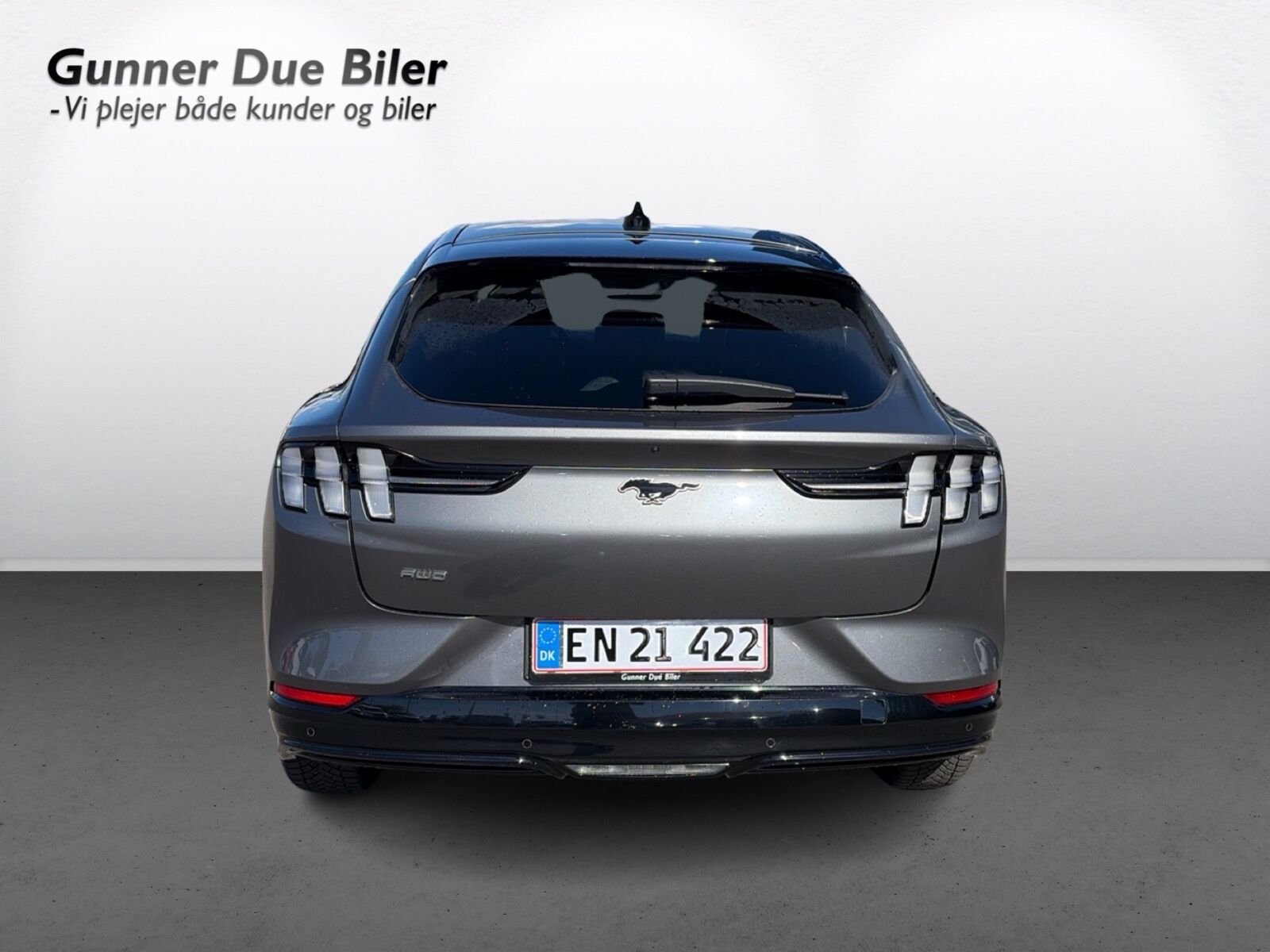 Ford Mustang Mach-E Long Range AWD, 351ps, 2023
