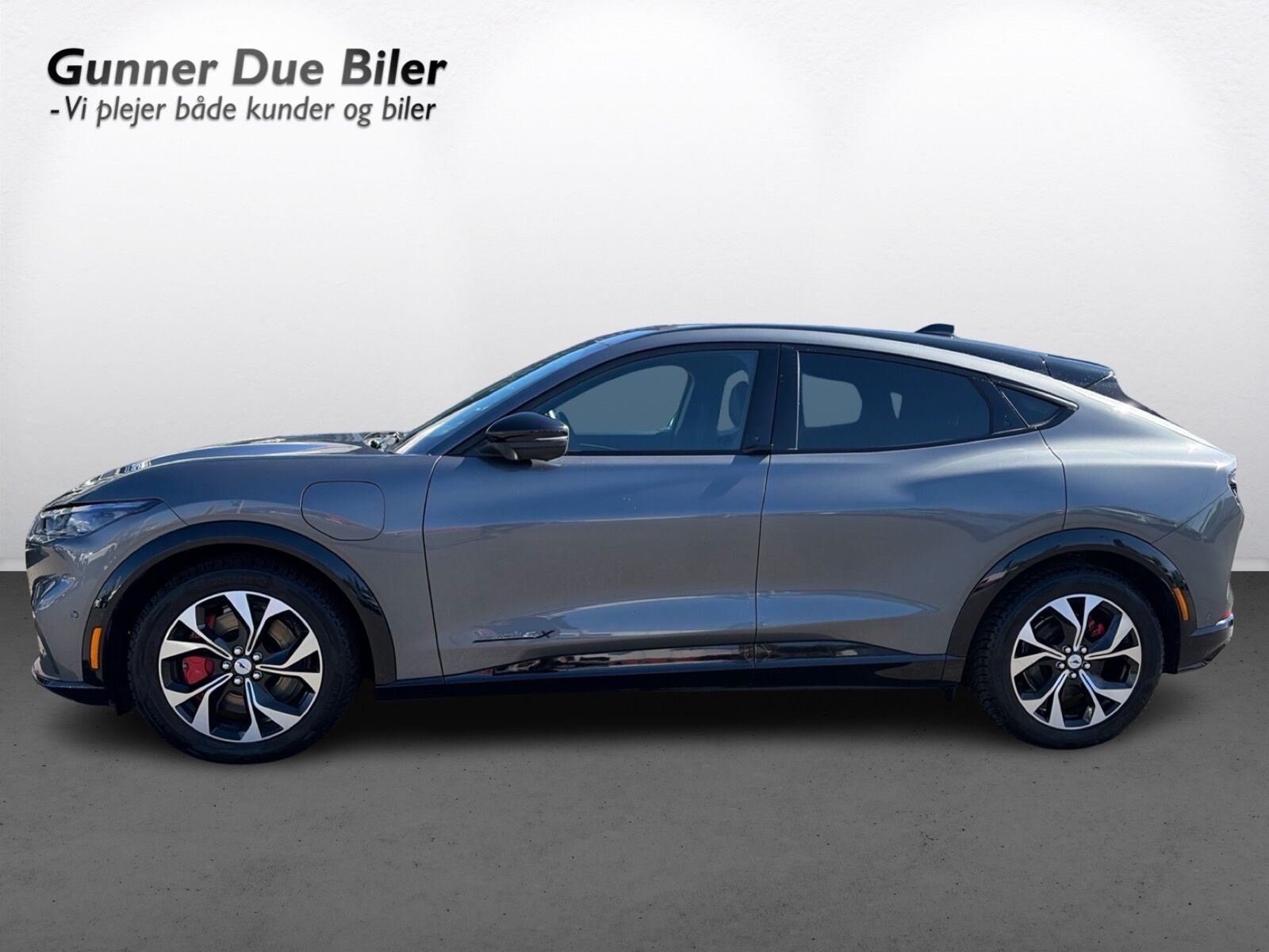 Ford Mustang Mach-E Long Range AWD, 351ps, 2023