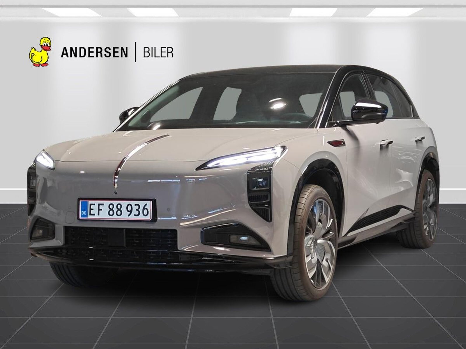Hongqi EHS7 Long Range 111 kWh, 343ps, 2025